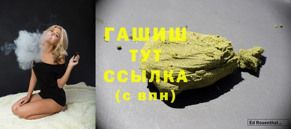 шишки Сосновый Бор