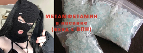 шишки Сосновый Бор