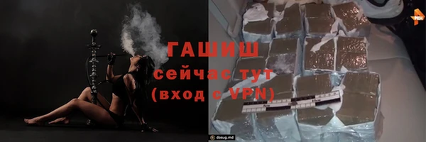 шишки Сосновый Бор