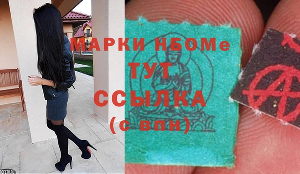 шишки Сосновый Бор