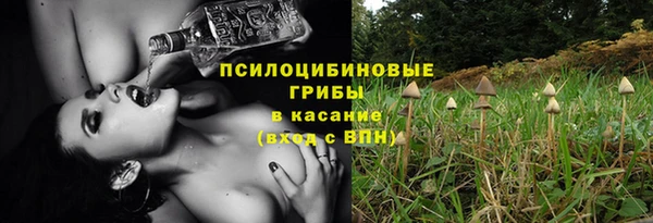 шишки Сосновый Бор