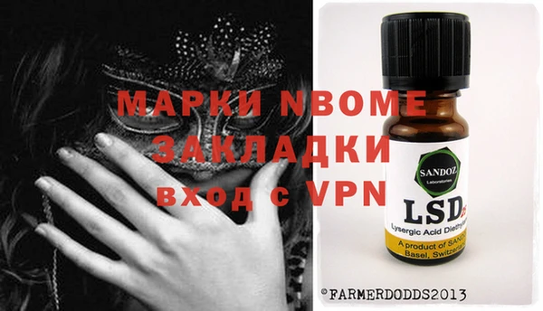 шишки Сосновый Бор