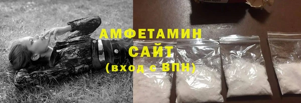шишки Сосновый Бор